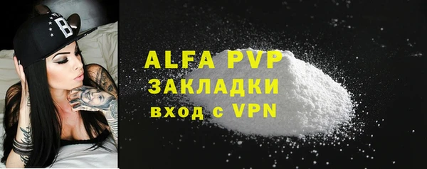 СК Алексин