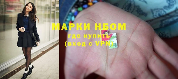 СК Алексин
