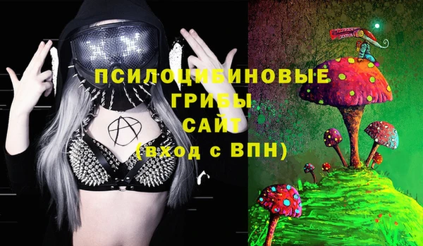 СК Алексин